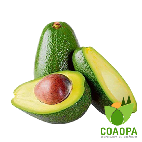 SITE - FRUTAS | ABACATE ORGÂNICO KG