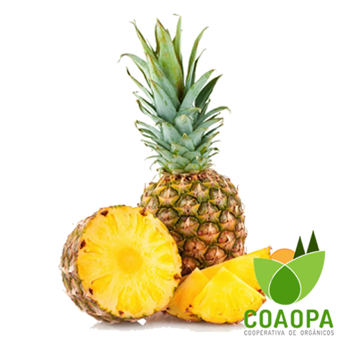 SITE - FRUTAS | ABACAXI ORGÂNICO UN