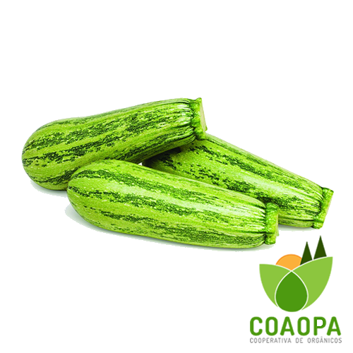 SITE - LEGUMES | ABOBRINHA ITALIANA ORGÂNICO