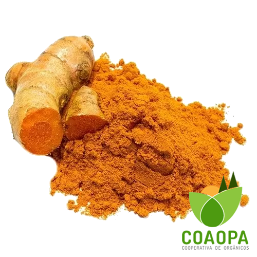 AÇAFRÃO EM PÓ ORGÂNICO 30G