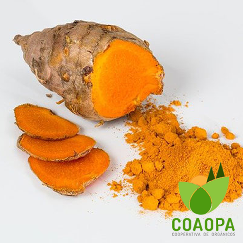 AÇAFRÃO ORGÂNICO 100gr