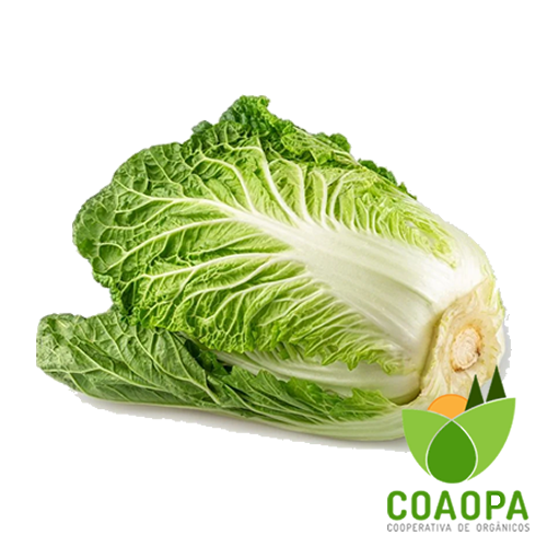 ACELGA ORGÂNICO UN