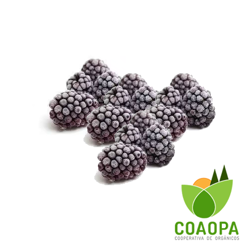 AMORA ORGÂNICA CONGELADA 250gr
