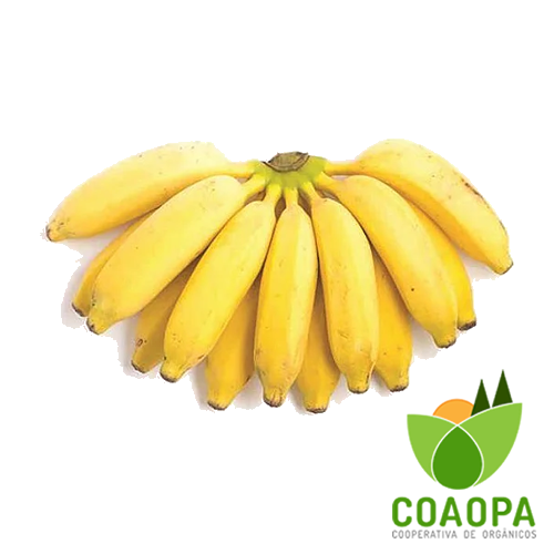 SITE - FRUTAS | BANANA PRATA ORGÂNICA KG