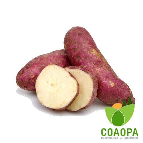 SITE - LEGUMES | BATATA DOCE ORGÂNICA KG