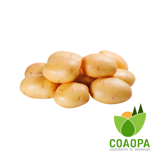 SITE - LEGUMES | BATATA INGLESA ORGÂNICA KG