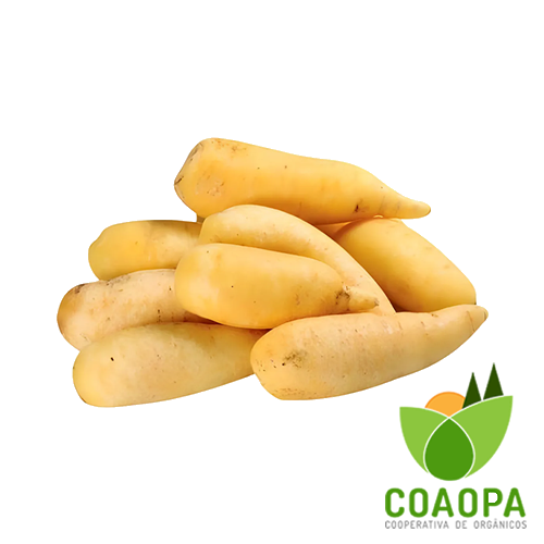 SITE - LEGUMES | BATATA SALSA ORGÂNICA KG