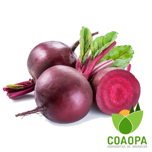 SITE - LEGUMES | BETERRABA ORGÂNICA KG