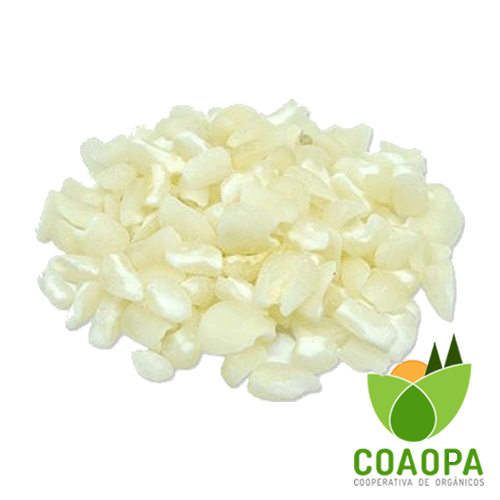 SITE - PROCESSADOS | CANJICA BRANCA ORGÂNICA 500gr