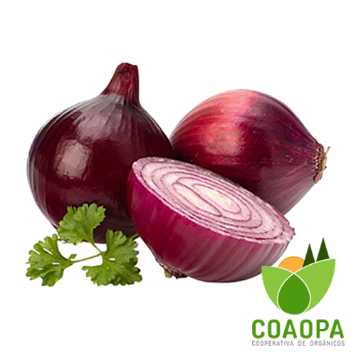 SITE - LEGUMES | CEBOLA ROXA ORGÂNICA