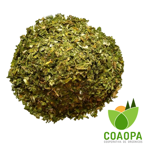CEBOLINHA ORGÂNICO 90g