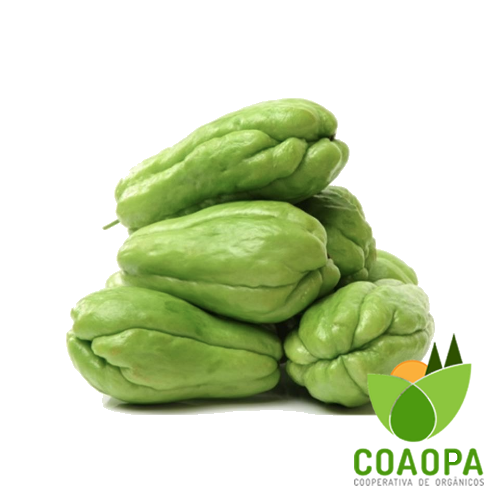 SITE - LEGUMES | CHUCHU ORGÂNICO KG