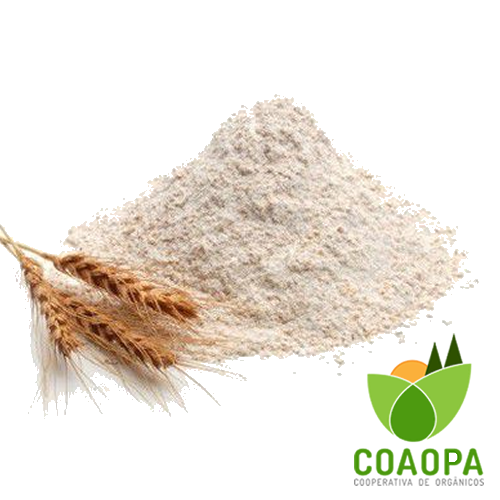 SITE - PROCESSADOS | FARINHA DE TRIGO BRANCA KG