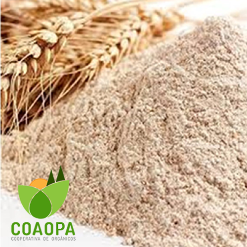 SITE - PROCESSADOS | FARINHA DE TRIGO INTEGRAL KG