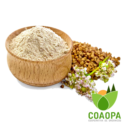 SITE - PROCESSADOS | FARINHA DE TRIGO SARRACENO 500gr ORGÂNICA