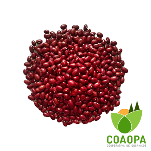 SITE - PROCESSADOS | FEIJÃO VERMELHO 500GR