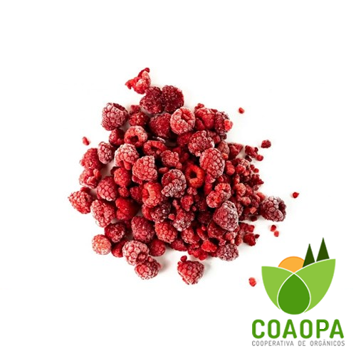 SITE -CONGELADOS | FRAMBOESA 250GR CONGELADO