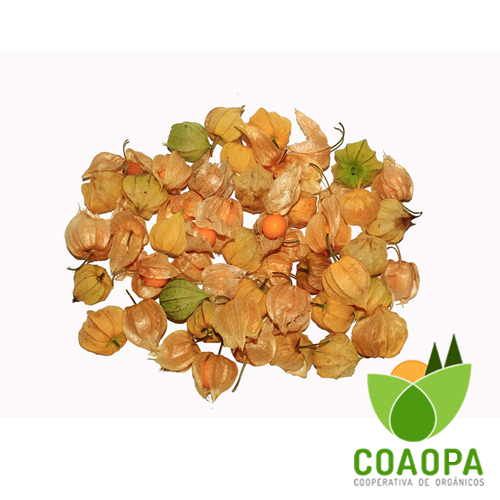 FRISALES ORGÂNICO 250GR CONGELADO