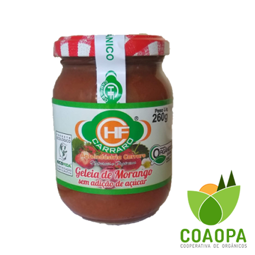 SITE DOCES SEM AÇÚCAR | GELEIA DE MORANGO SEM ADIÇÃO DE AÇÚCAR ORGÂNICO 260gr
