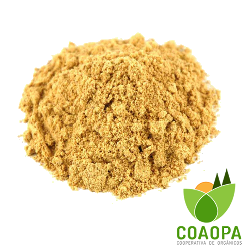 GENGIBRE EM PÓ ORGÂNICO 30g