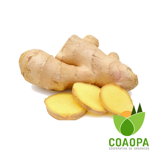 SITE - LEGUMES | GENGIBRE ORGÂNICO 100 GR