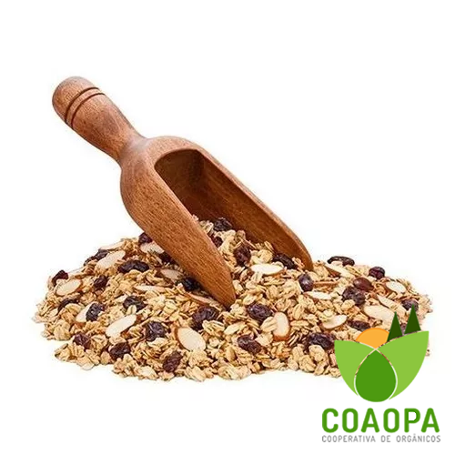 GRANOLA ORGÃNICA 350GR