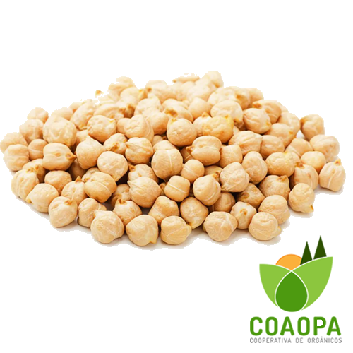 GRÃO DE BICO 500gr ORGÂNICA