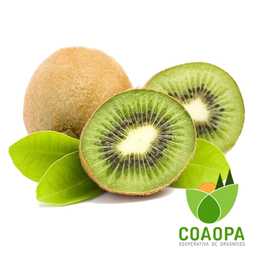 SITE - FRUTAS | KIWI ORGÂNICO BDJ 350gr