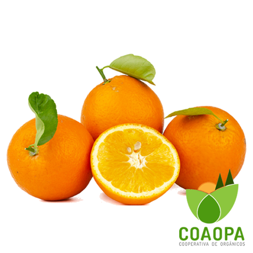 LARANJA BAHIA ORGÃNICA