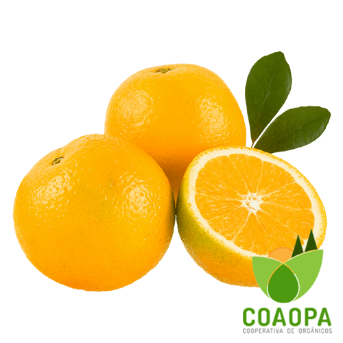 SITE - FRUTAS | LARANJA LIMA ORGÃNICA KG