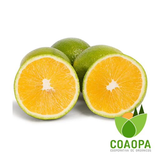 LARANJA VALÊNCIA ORGÂNICA kg