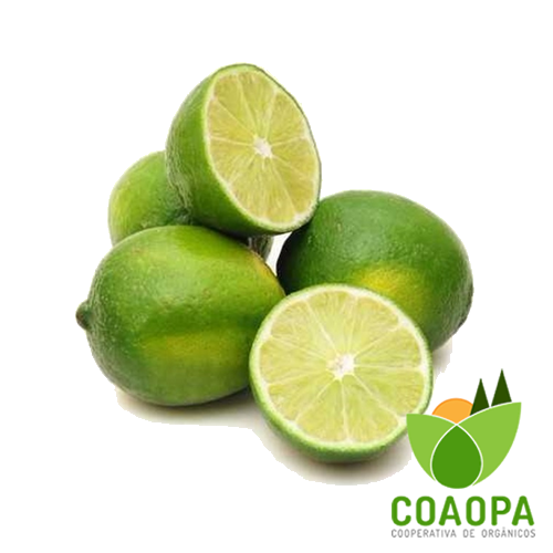 SITE - FRUTAS | LIMÃO TAHITI ORGÂNICO
