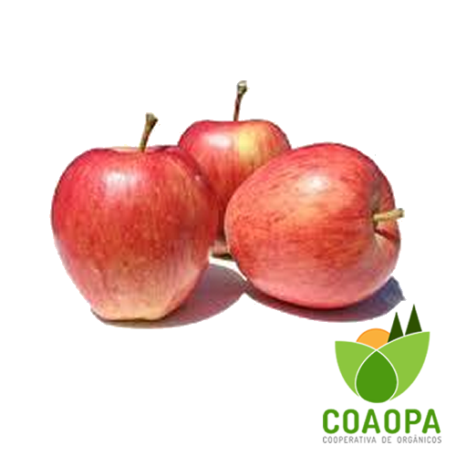 SITE - FRUTAS | MAÇÃ GALA ORGÂNICA KG