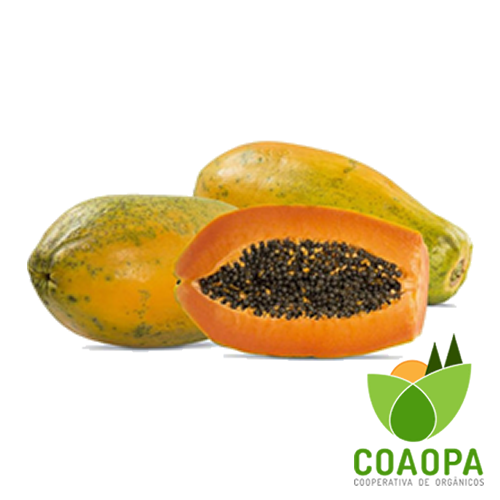 SITE - FRUTAS | MAMÃO FORMOSA ORGÂNICO UNIDADE