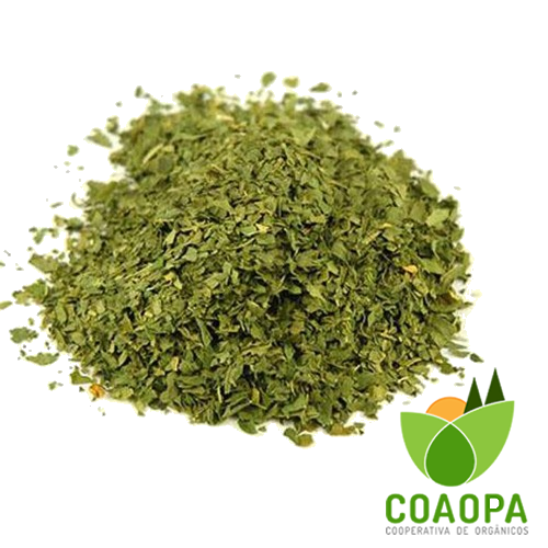 MANJERICÃO ORGÂNICO 20g