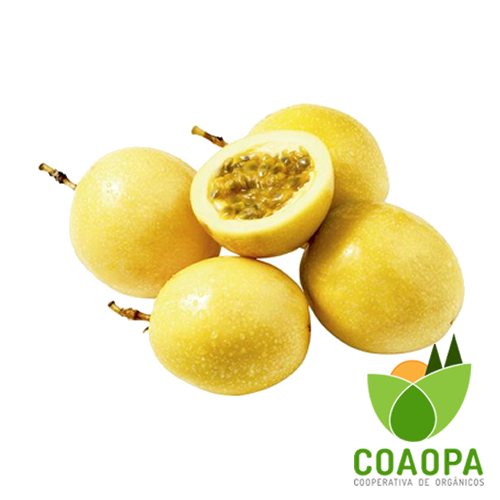 SITE - FRUTAS | MARACUJÁ AMARELO ORGÂNICO