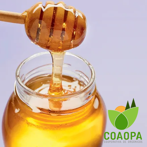 SITE - PROCESSADOS | MEL ORGÂNICO 250GR - bisnaga