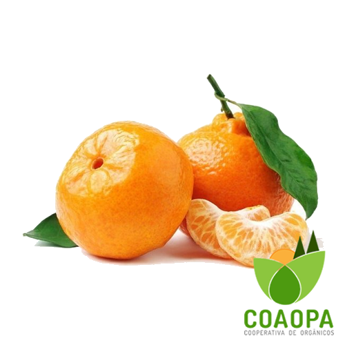 SITE - FRUTAS | MEXERICA ORGÂNICA KG