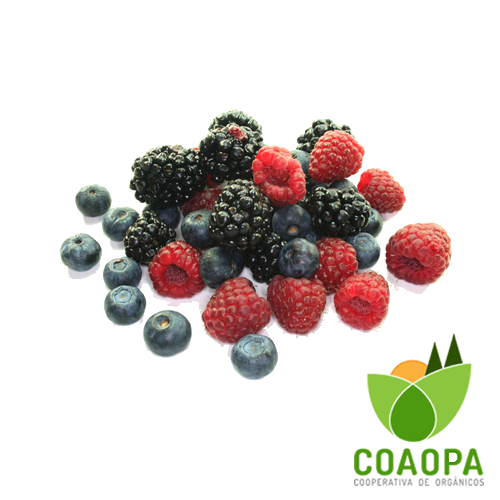 MIX DE FRUTAS VERMELHAS 500GR CONGELADO