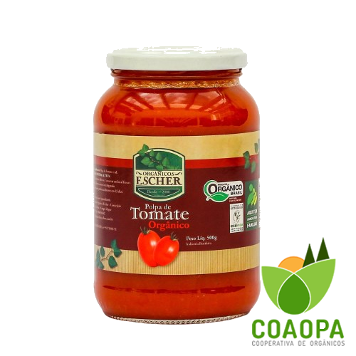 SITE - PROCESSADOS | MOLHO DE TOMATE ORGÂNICO 600gr