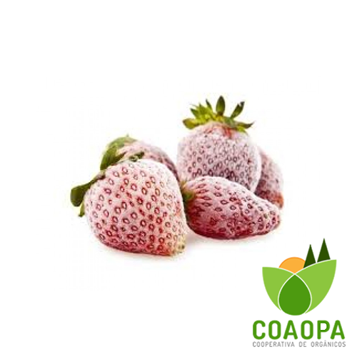 MORANGO CONGELADO 500gr