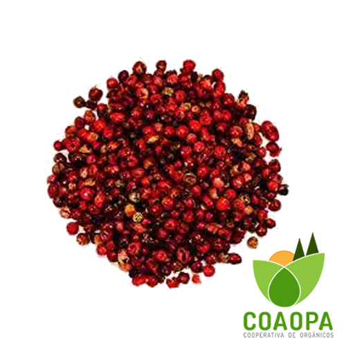PIMENTA ROSA ORGÂNICA 35g