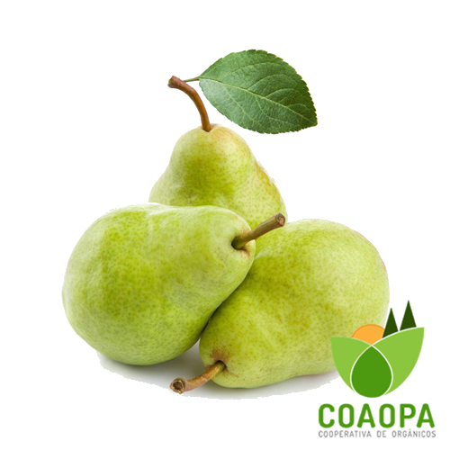 SITE - FRUTAS | PÊRA WILLIANS KG