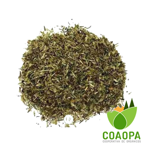 SÁLVIA ORGÂNICA 15g