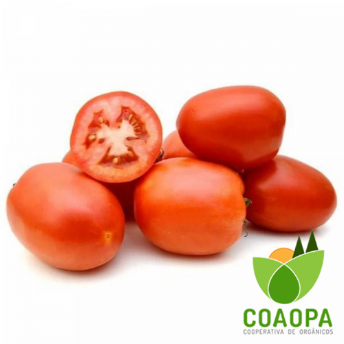 SITE - LEGUMES | TOMATE ITALIANO ORGÂNICO KG
