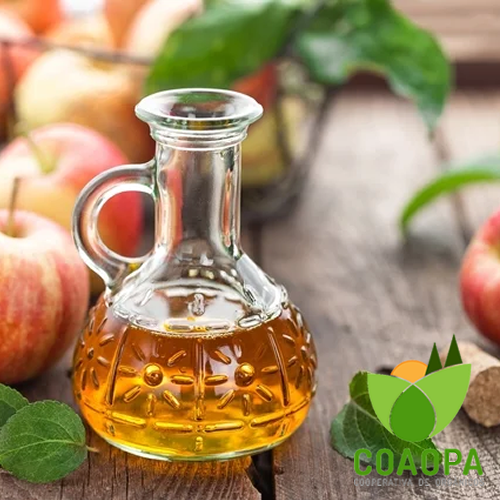 SITE - PROCESSADOS | VINAGRE DE MAÇA ORGÂNICO 500ml